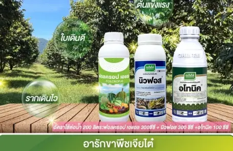 ล้างเชื้อรา