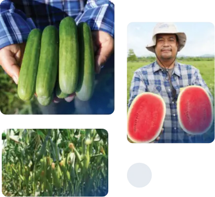 เกษตรกร