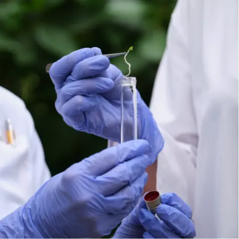 เกษตรกร