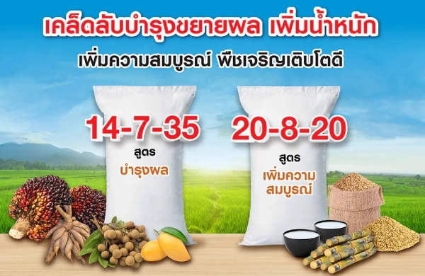 เคล็ดลับการบำรุงขยายผล เพิ่มน้ำหนัก เพิ่มความสมบูรณ์ พืชเจริญเติบโต
