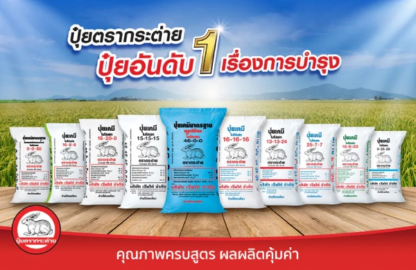 ปุ๋ยตรากระต่าย ปุ๋ยอันดับ1 เรื่องการบำรุง