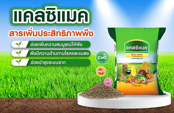 แคลซิแมค (สารเพิ่มประสิทธิภาพพืช) ช่วยเพิ่มความแข็งแรง ให้รากดูดซับธาตุอาหารได้ดี ทนโรค ทนแล้ง และช่วยบำรุงดิน