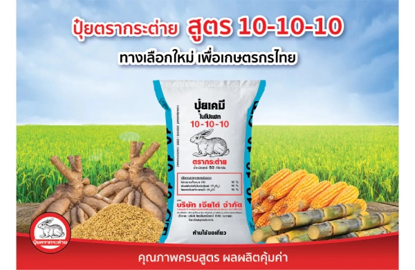 ปุ๋ยตรากระต่าย สูตร 10-10-10 ปุ๋ยทางเลือกใหม่ เพื่อเกษตรกรไทย