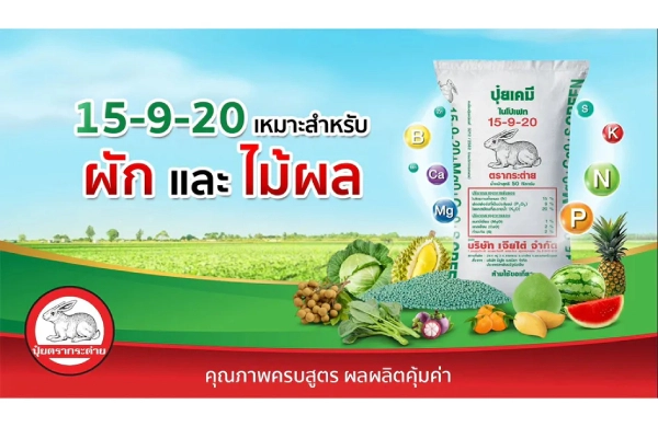 ปุ๋ยตรากระต่าย สูตร 15-9-20 เคล็ดลับบำรุงผลอ่อน เพิ่มความสมบูรณ์ ผลผลิตดีมีคุณภาพ