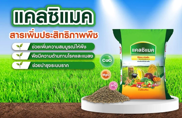แคลซิแมค (สารเพิ่มประสิทธิภาพพืช) ช่วยเพิ่มความแข็งแรง ให้รากดูดซับธาตุอาหารได้ดี ทนโรค ทนแล้ง และช่วยบำรุงดิน