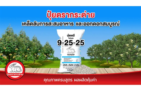 ปุ๋ยตรากระต่าย สูตร 9-25-25 เคล็ดลับการบำรุง กระตุ้นการออกดอก ให้ดอกสมบูรณ์