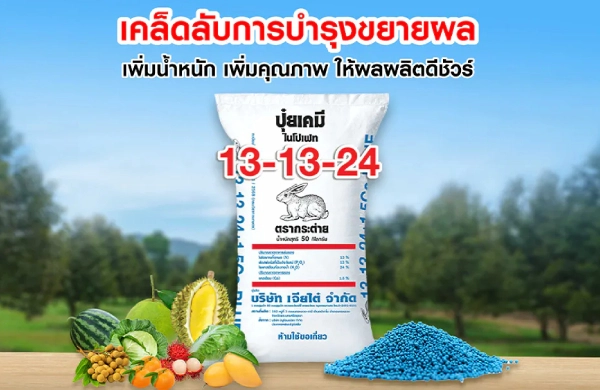 ปุ๋ยตรากระต่าย สูตร 13-13-24 บลู เคล็ดลับการบำรุงขยายผล เพิ่มน้ำหนัก เพิ่มคุณภาพ ให้ผลผลิตดีชัวร์