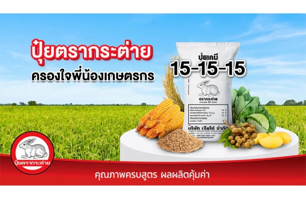 ปุ๋ยตรากระต่าย สูตร 15-15-15 ปุ๋ยสูตรเสมอ ที่ครองใจพี่น้องเกษตรกรมาอย่างยาวนาน อันดับ1ในใจ ชัวร์ เด๊ะ เด๊ะ