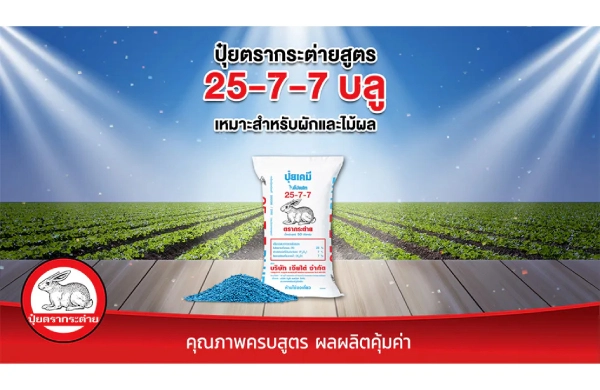 ปุ๋ยตรากระต่าย สูตร 25-7-7 บลู เคล็ดลับบำรุงพืชผักและไม้ผล เร่งต้นโตไว เร่งแตกใบ เพิ่มความสมบูรณ์