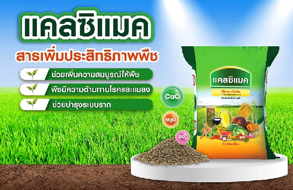 แคลซิแมค (สารเพิ่มประสิทธิภาพพืช) ช่วยเพิ่มความแข็งแรง ให้รากดูดซับธาตุอาหารได้ดี ทนโรค ทนแล้ง และช่วยบำรุงดิน
