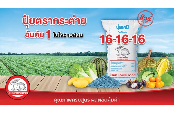 ปุ๋ยตรากระต่าย สูตร 16-16-16 บลู ชาวสวนมั่นใจ ได้ผลผลิตดีชัวร์