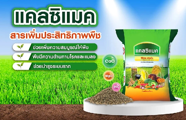 แคลซิแมค (สารเพิ่มประสิทธิภาพพืช) ช่วยเพิ่มความแข็งแรง ให้รากดูดซับธาตุอาหารได้ดี ทนโรค ทนแล้ง และช่วยบำรุงดิน