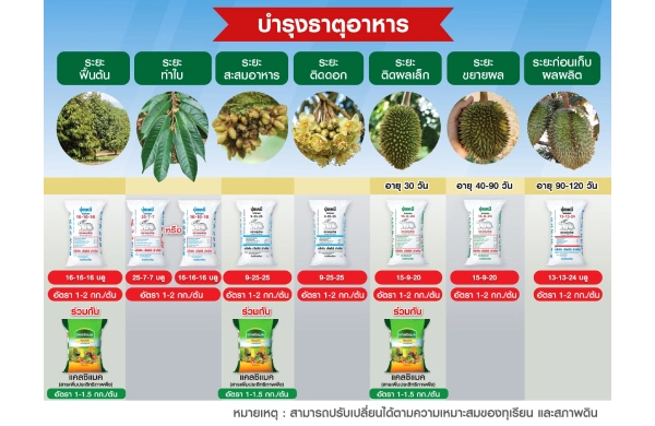 ตารางการบำรุงทุเรียน
