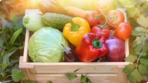 ธุรกิจผลสดและร้านอาหาร