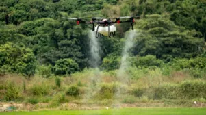 Plant Protection Business