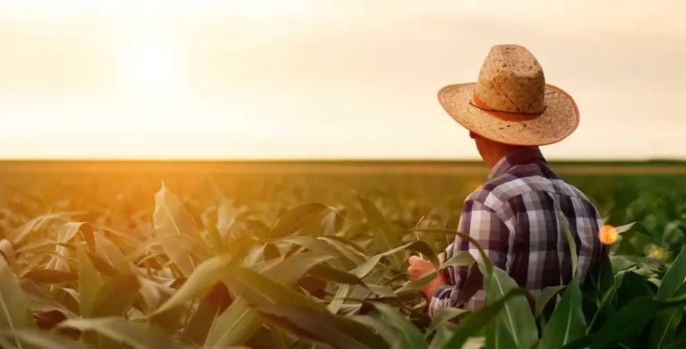 ขอส่งมอบเมล็ดพันธุ์คุณภาพดี เพื่อให้เกษตรกรสร้างอนาคตที่ดีไปกับเรา