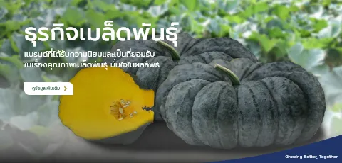 สินค้าเมล็ดพันธุ์