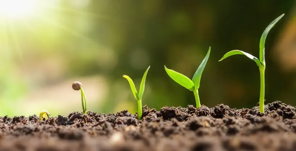 ธุรกิจผลสดและร้านอาหาร