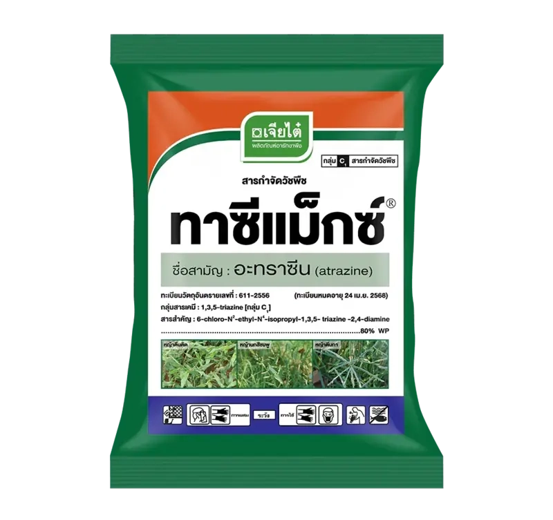 ทาซีแม็กซ์
