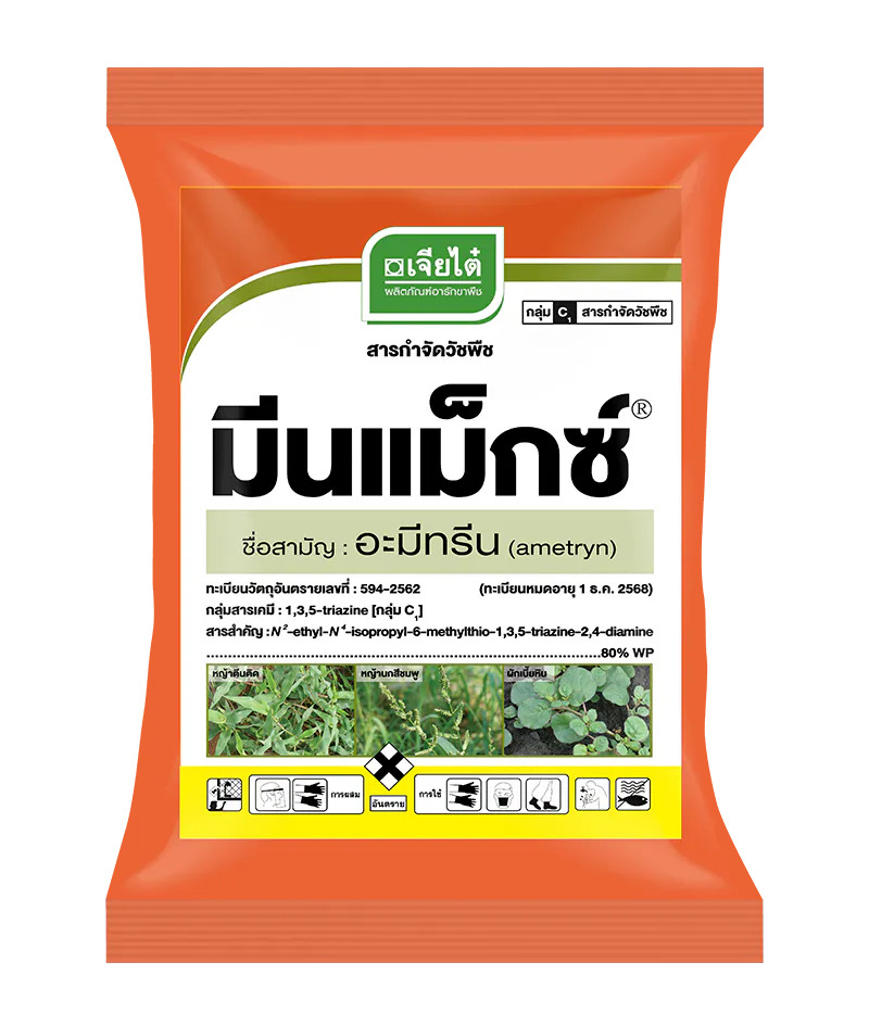 มีนแม็กซ์