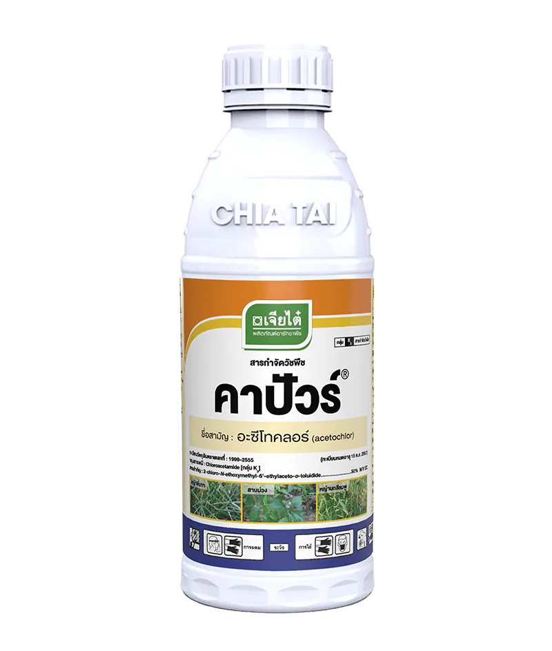 คาปัวร์, อารักขาพืชเจียไต๋, เจียไต๋