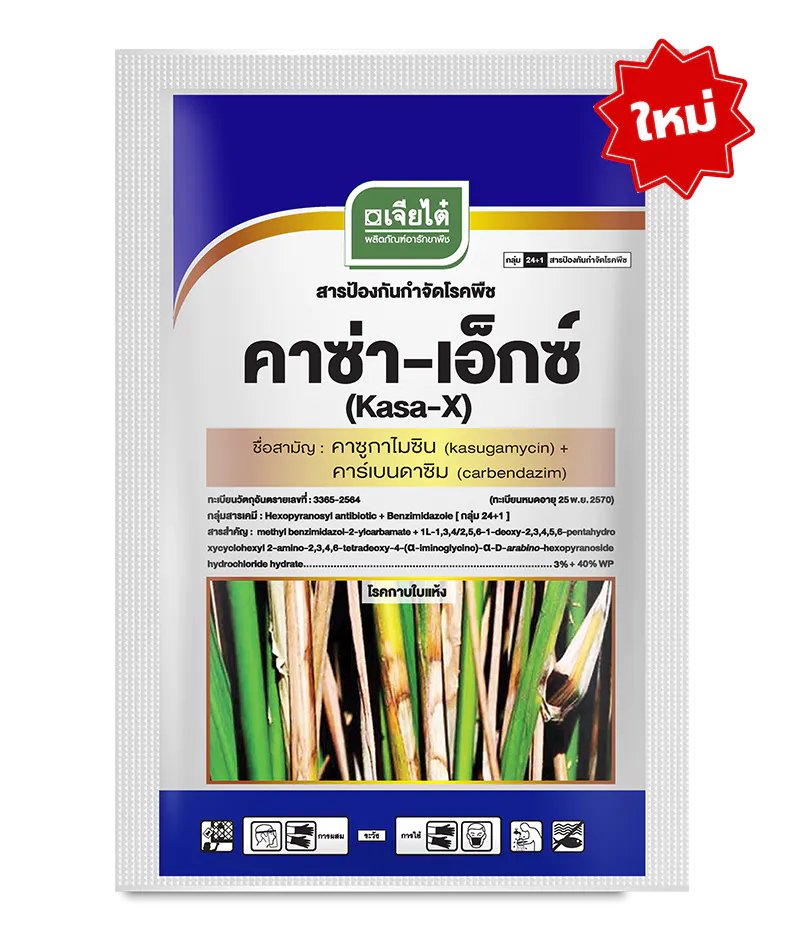 คาซ่า-เอ็กซ์