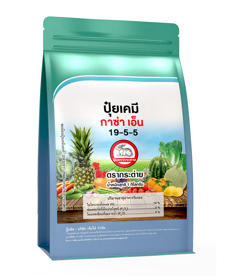 กาซ่า เอ็น 19-5-5