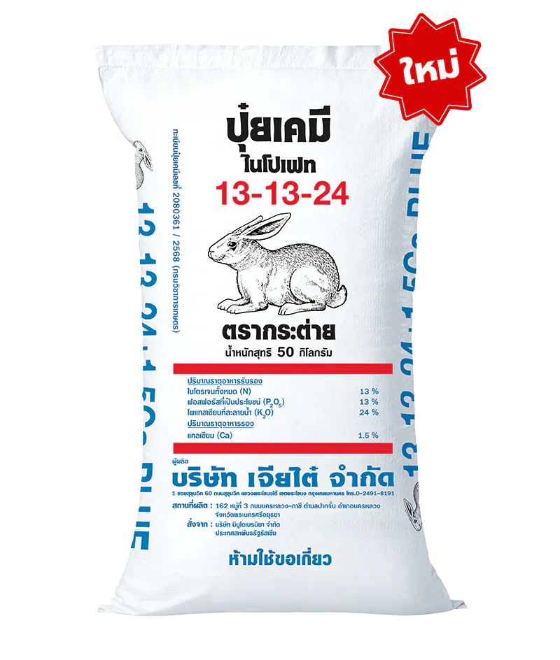 13-13-24 BLUE, 13-13-24บลู