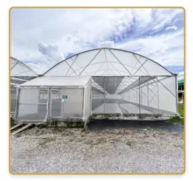 โรงเรือนหลังคาโค้ง