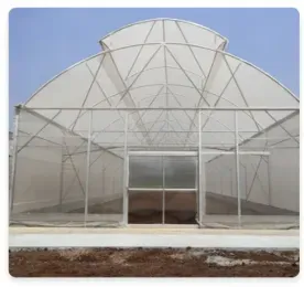 สินค้าเมล็ดพันธุ์