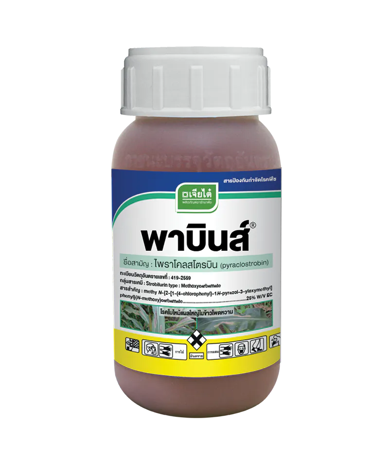 พาบินส์, เจียไต๋, อารักขาพืชเจียไต๋