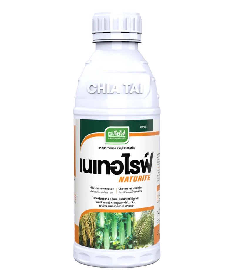 เนเทอไรฟ์