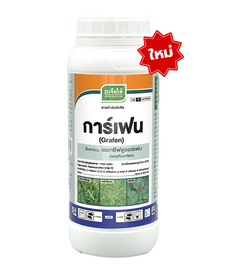 การ์เฟน