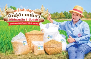 แชร์เทคนิค! ปลูกพันธุ์ข้าวเหนียวให้ได้ผลผลิต 1 ตันต่อไร่ แบบฉบับเกษตรกรรู้จริงแดนอีสาน เพิ่มมูลค่าพันธุ์ข้าวเหนียวได้กว่า 10 เท่าด้วยการตลาดออนไลน์