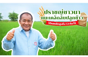 ปราชญ์ชาวนา แนะเคล็ดลับปลูกข้าว สู้น้ำท่วม ด้วยการบริหารจัดการพื้นที่ ได้ผลผลิตสูงถึง 1.3 ตัน/ไร่