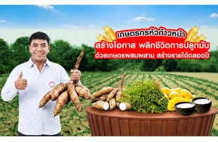 เกษตรกรหัวก้าวหน้า สร้างโอกาส พลิกชีวิตการปลูกมัน ด้วยเกษตรผสมผสานสร้างรายได้ตลอดปี
