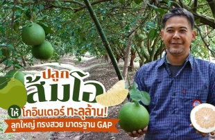 ปลูก 