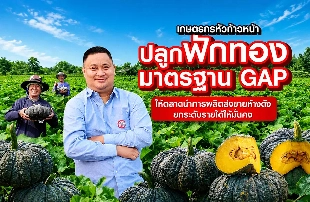 เกษตรกรหัวก้าวหน้า ผู้นำเครือข่ายฟักทองคุณภาพ ใช้ตลาดนำการผลิต ยกระดับสู่เกษตรเชิงธุรกิจ สร้างผลผลิตสูงถึง 8 ตันต่อไร่ ส่งขายห้างค้าปลีกตลอดปี