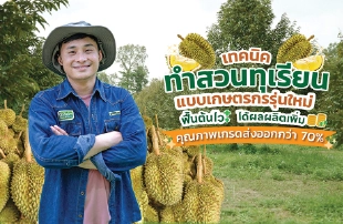 ไม้ผล