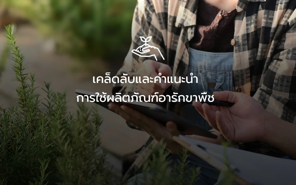 เคล็ดลับและคำแนะนำการใช้ผลิตภัณฑ์อารักขาพืช