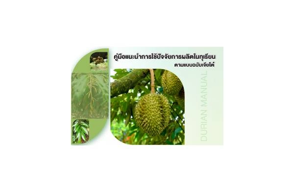 คู่มือทุเรียน