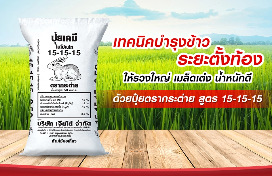puitrakratai-rice-fertilizer-for-Booting stage