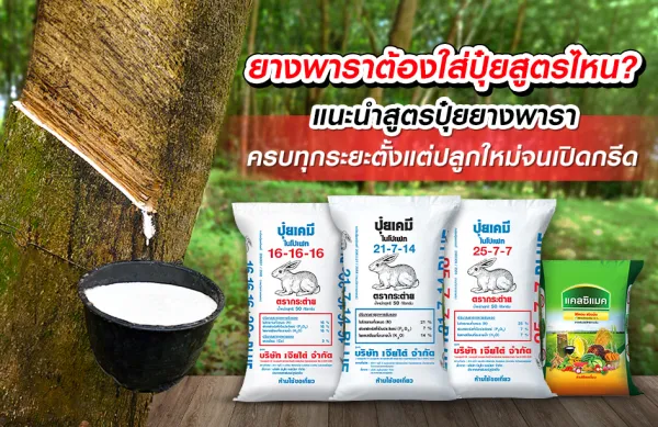 น้ำยาง