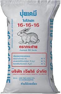 เปิดเส้นทางสร้างรายได้ด้วยผักกาดขาวปลี บิ๊กบูม เจียไต๋