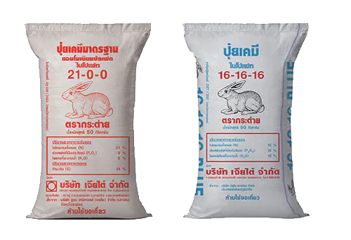 เปิดเส้นทางสร้างรายได้ด้วยผักกาดขาวปลี บิ๊กบูม เจียไต๋