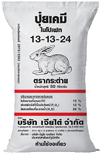 เปิดเส้นทางสร้างรายได้ด้วยผักกาดขาวปลี บิ๊กบูม เจียไต๋
