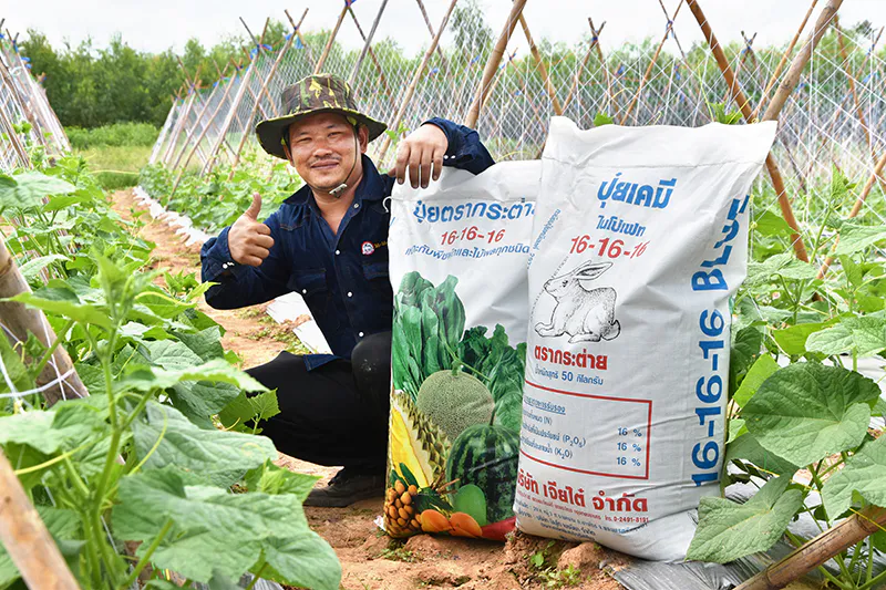 แตงร้าน เขียวอมตะ2 เจียไต๋