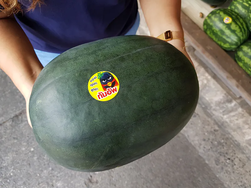 แตงโมทัมอัพ ลูกดำ