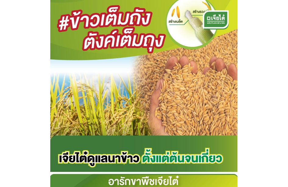 เจียไต๋