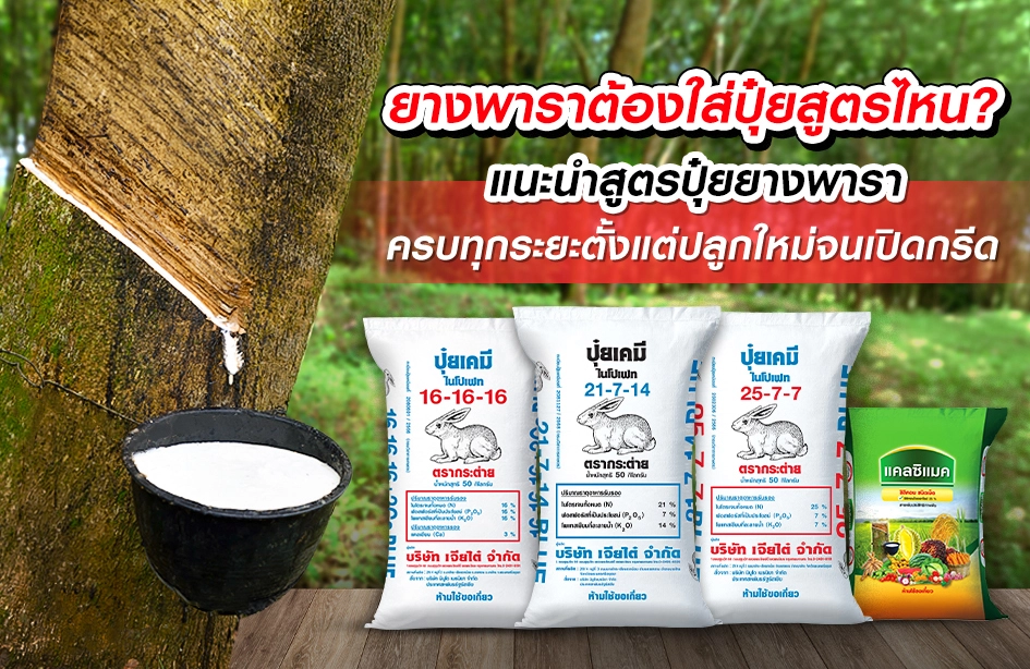 ประเด็นสำคัญ สรุป